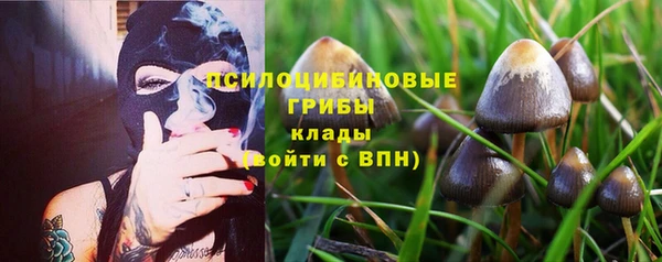 круглые Коряжма